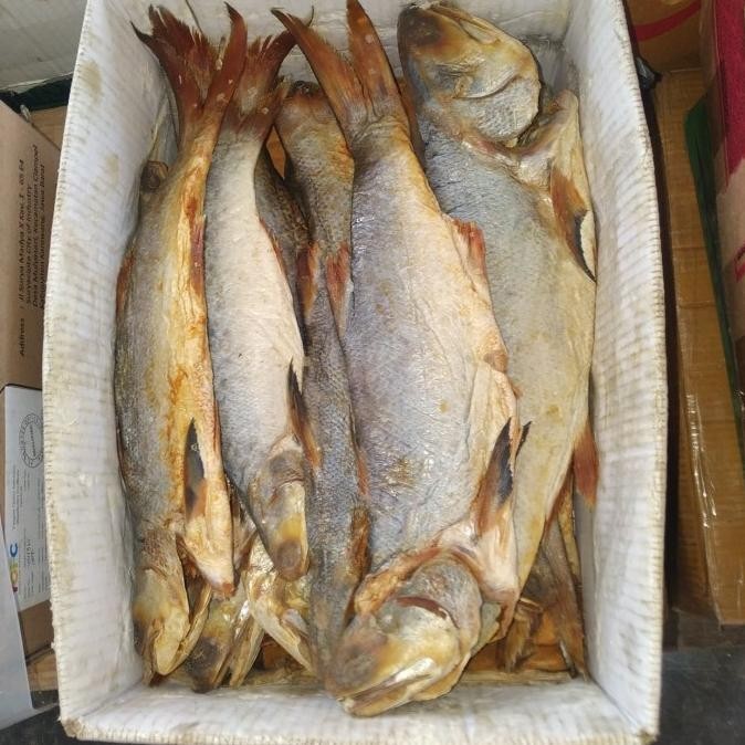 

ikan Asin kuro es qualitas export 500gr