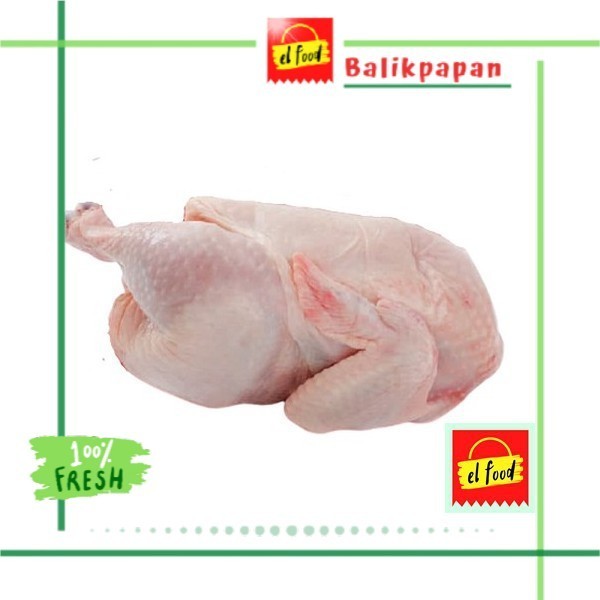 

AYAM POTONG SEGAR ±0,9Kg Setengah Ekor Utuh /ELFOOD/Daging/Ayam potong Setengah ekor Utuh