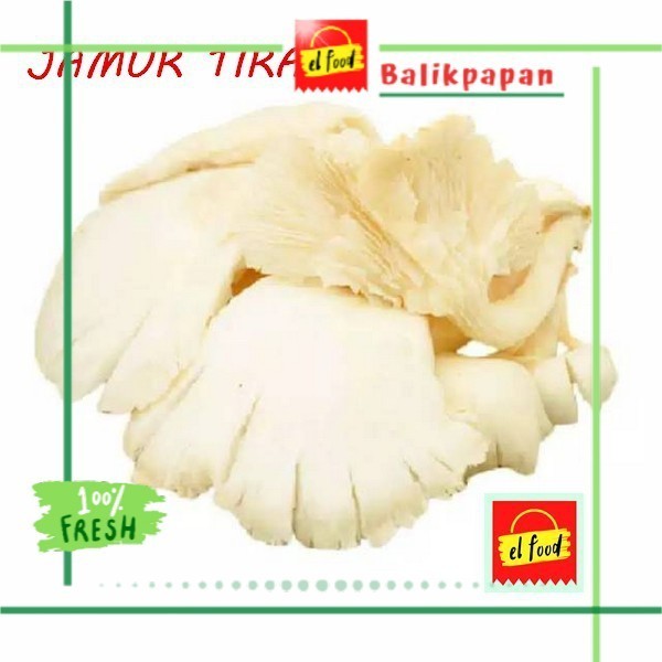 

JAMUR TIRAM SEGAR Per Bungkus /ELFOOD/Daging/Sayuran/Sayur/Jamur