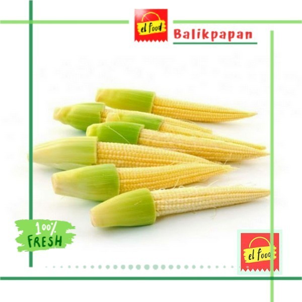 

JAGUNG MUDAH SEGAR 5 Pcs /ELFOOD/sayur/Sayuran/Baby Corn/Sayur/Jagung Muda/Acar