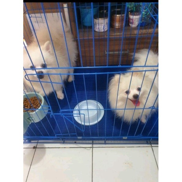 PROMO KANDANG KANDANG KUCING/ANJING super jumbo 90x60x70 (tanpa roda) free tempat pakan kucing