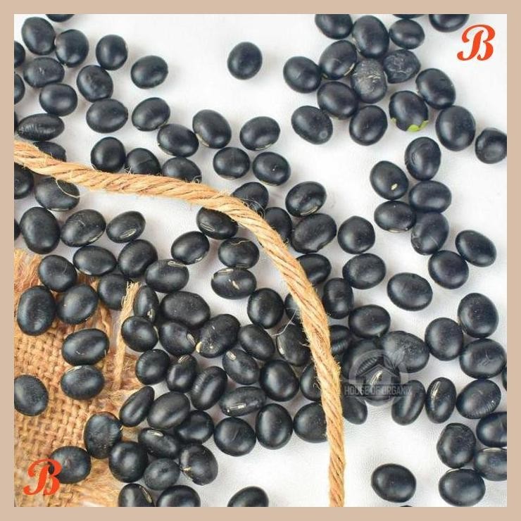 

| HOF | HOUSE OF ORGANIX BLACK BEAN ( KACANG HITAM ) 500 GR