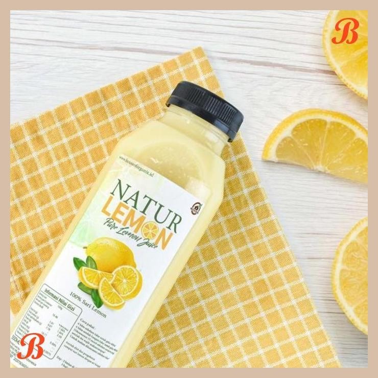 

| HOF | HOUSE OF ORGANIX NATUR LEMON 500 ML