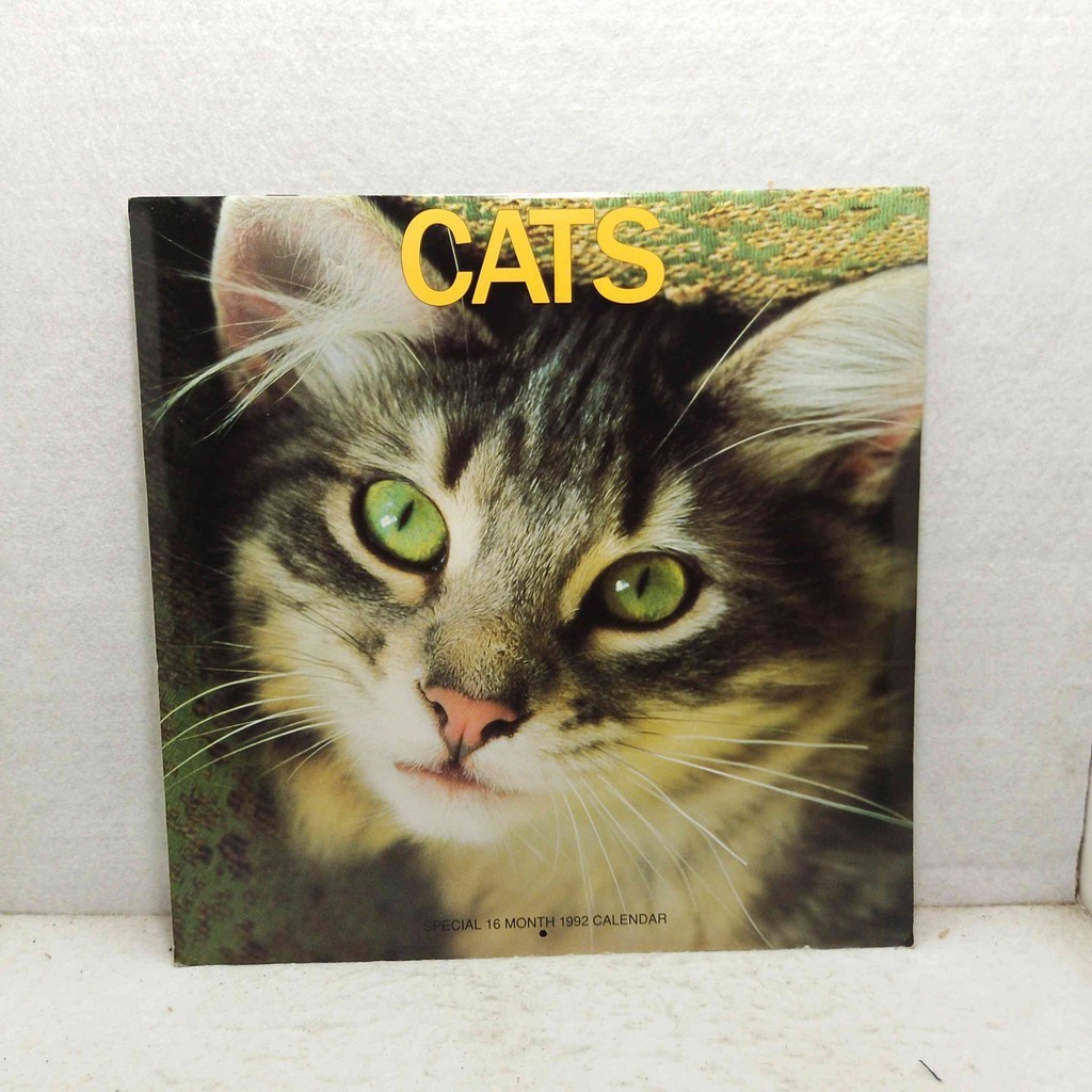 Cats Special 16 Month 1992 Calendar Art Import - Kalender Seni