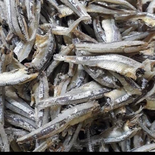 

Ikan Teri Jengki Bulat Medan 500gr JAC