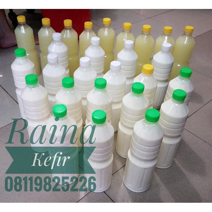 

Kekinian - Susu kefir kambing 500ml ~