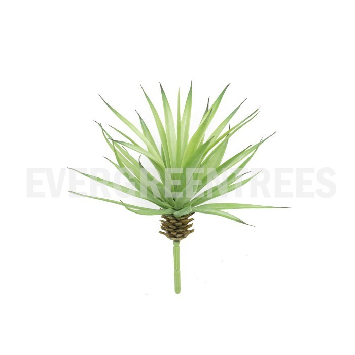 Pohon Kaktus/ Kaktus Hias/ Tanaman Palsu/ Tanaman Hias/ Small Agave