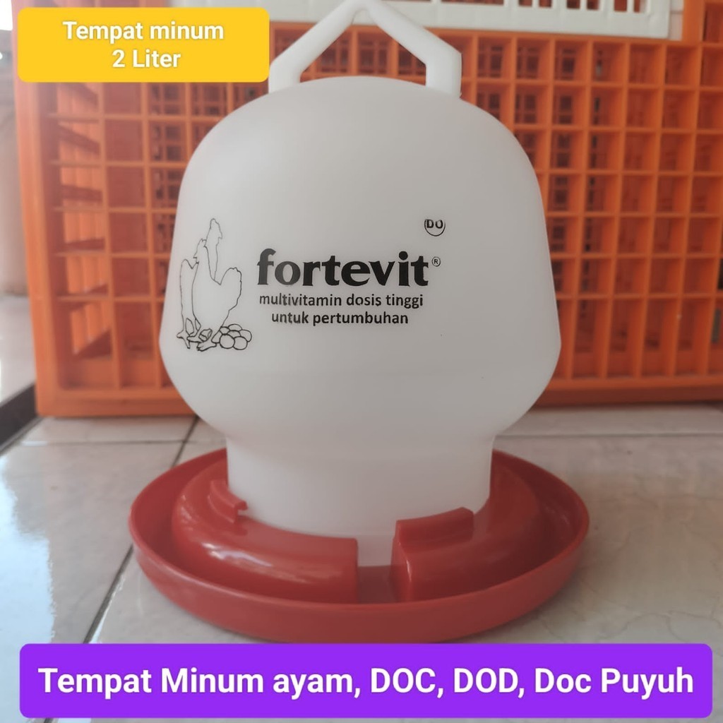 Tempat minum 2 liter ayam, DOC, DOD, puyuh