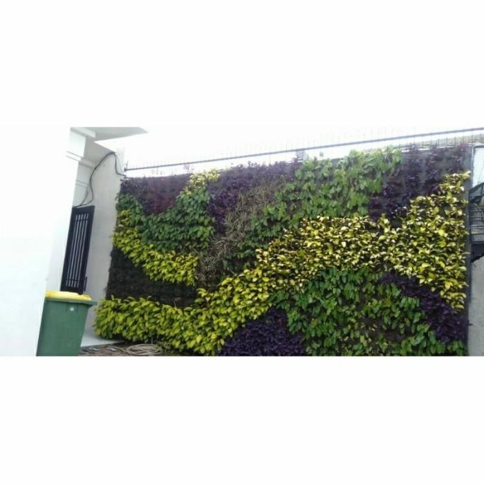 Paket Vertical Garden/ Tanaman Vertical Garden Penyiraman Otomatis
