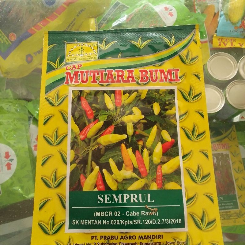 benih cabe rawit mutiara bumi semprul 10 gr