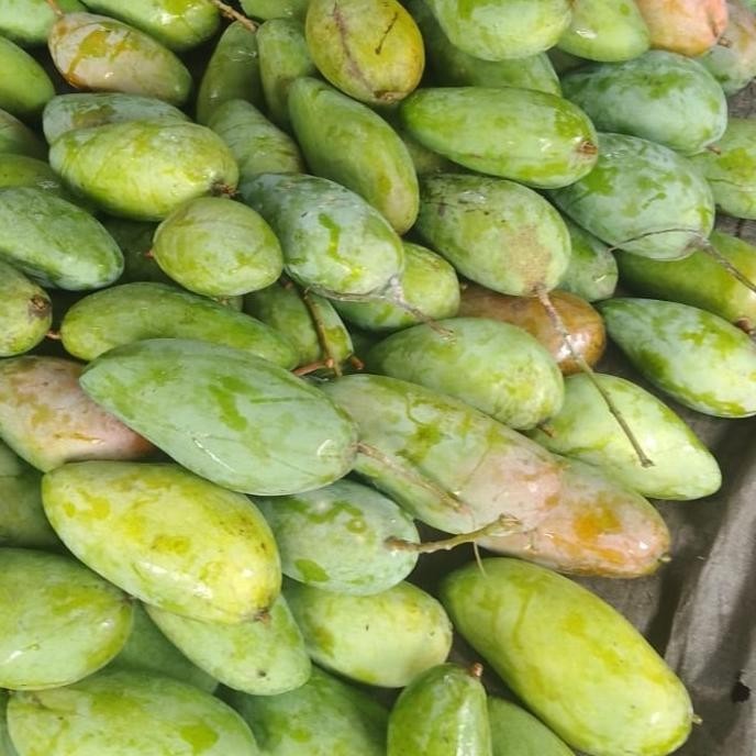 

Terjangkau mangga bangkok kiojay