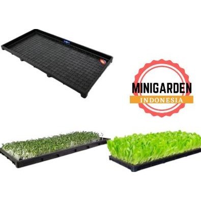 Update TRAY SEMAI PADI tray semai microgreen rice seedling tray paddy