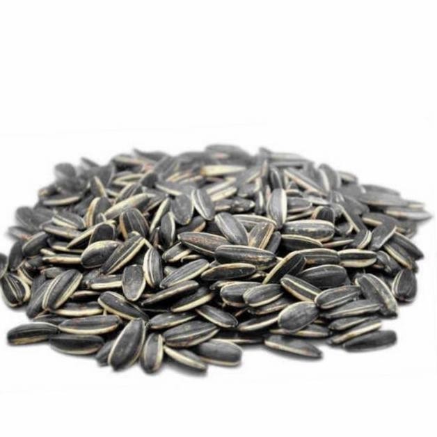 

BIJI KUACI KWACI HITAM 25 kg SUN SEED BUNGA MATAHARI PAKAN MAKANAN SS