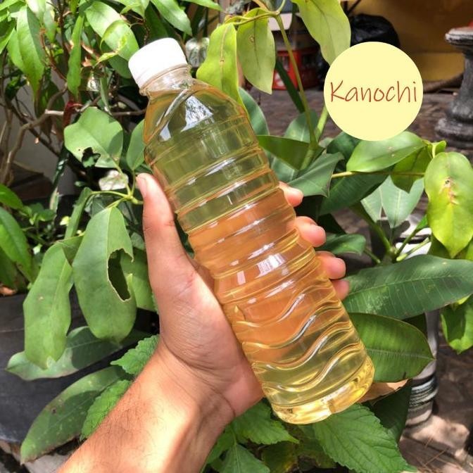 

((((()paling dicari] Minyak Kelapa Tandusan Asli Bali Lengis Nyuh Tandusan Asli 600 Ml