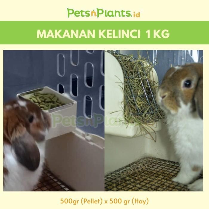 Petsnplants.Id Makanan Kelinci Timothy Hay Dan Pelet 1 Kg