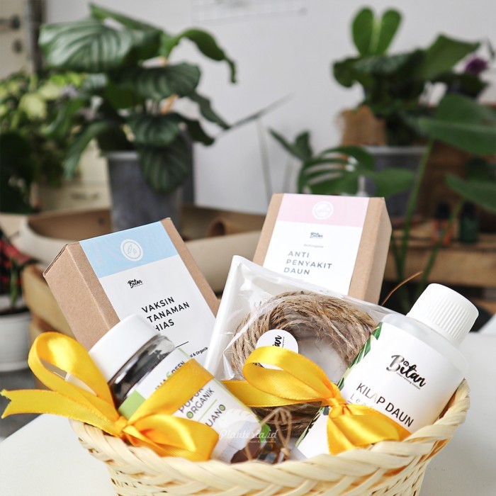 

Hampers Lebaran Hias Hampers Tanaman Sehat Gumush By Planteria