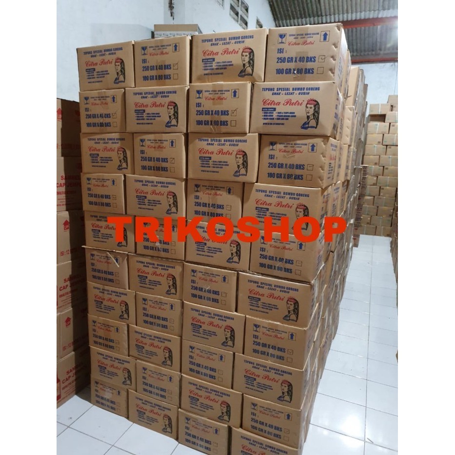 

Tepung Bumbu Serbaguna Citra Putri 250Gr Dus An Isi 40 Pcs