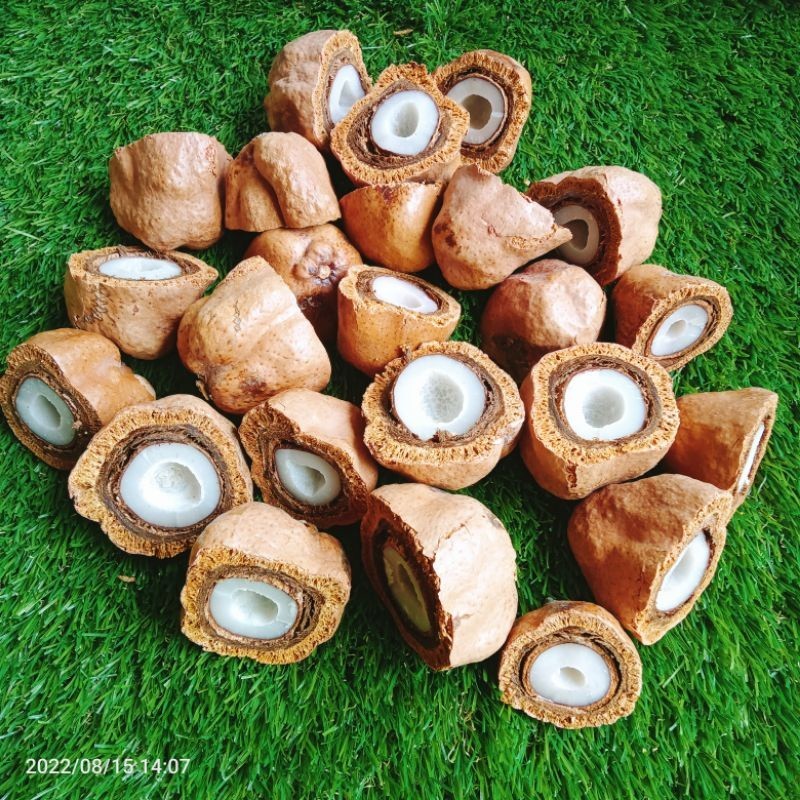 

MJS buah zuriat mesir promil belah 1 kg free tesk pack