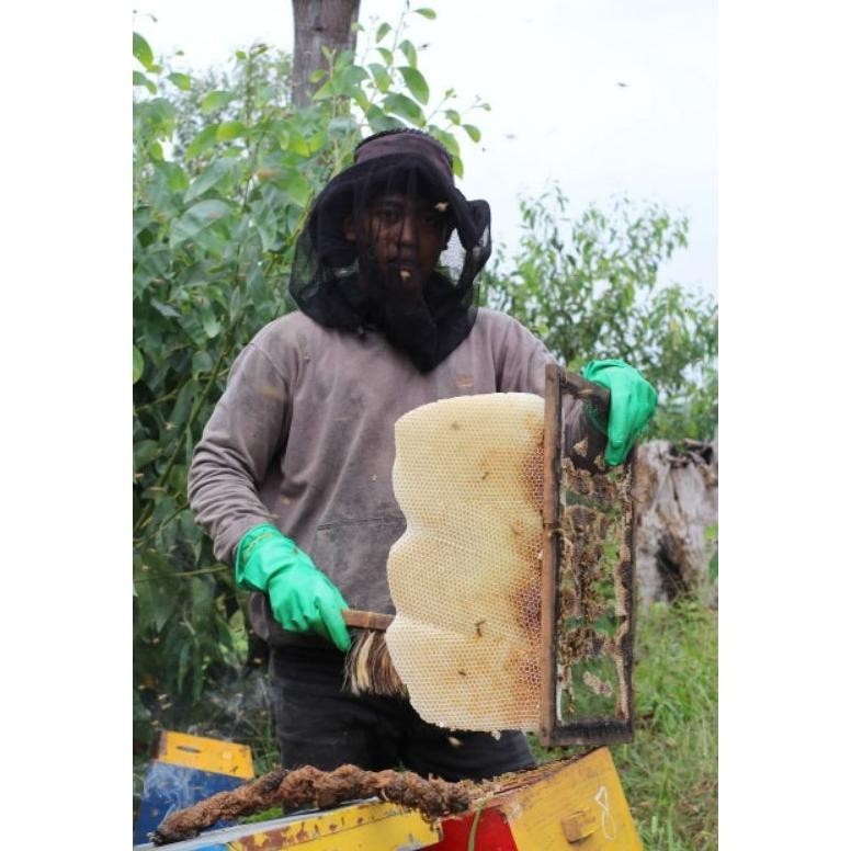

Baru Madu Murni Nektar Bunga [1Kg] Multiflora 100% Raw Honey Organik Original
