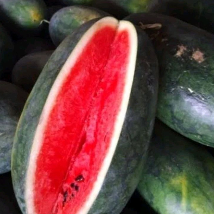 Semangka Inul 1 buah