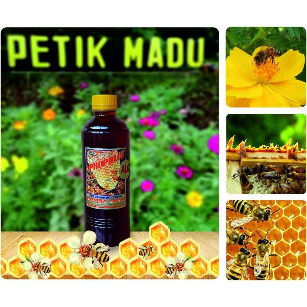 

Madu Propolis Alergi 500Ml Kemasan Botol Plastik Diskon