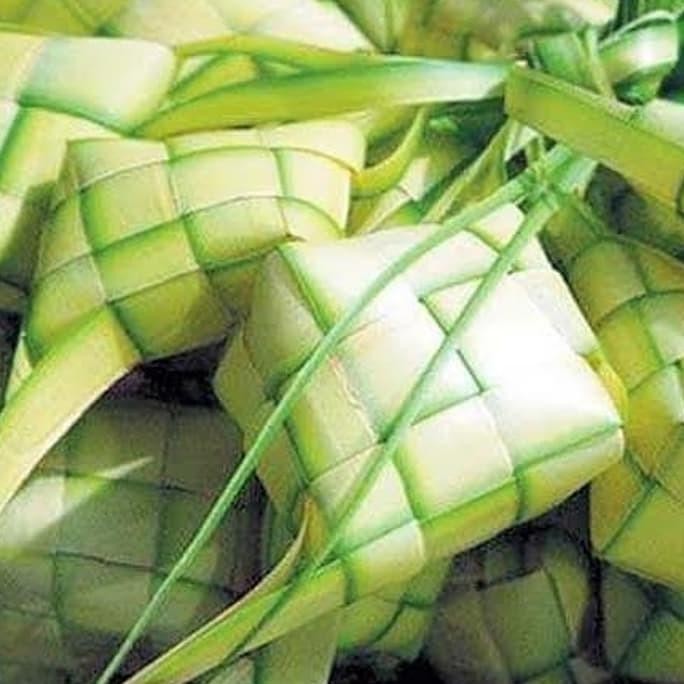 

Ketupat Janur - Daun Janur Kelapa Bentuk Ketupat - Khusus JNE
