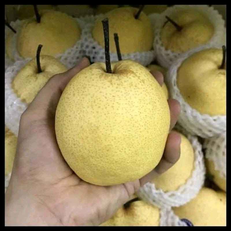 

Pear Madu Sweet Pear
