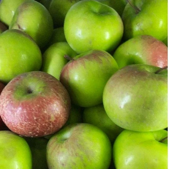 

Apel Malang 500 gram/1kg