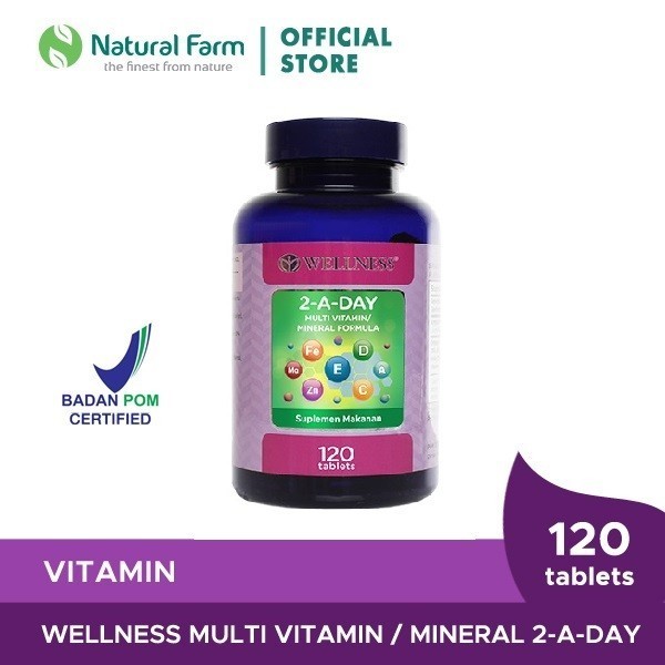 Wellness Multivitamin/Mineral 2-A-Day ( 120 )