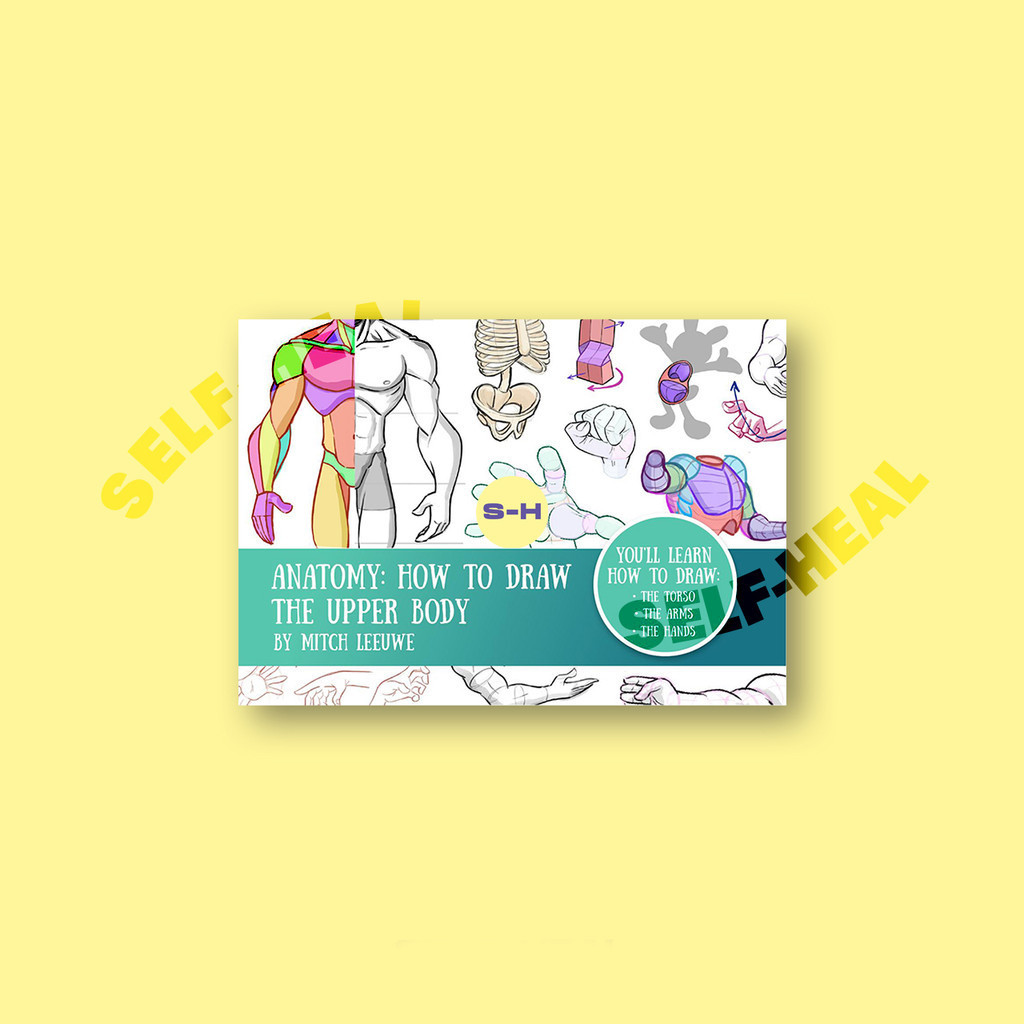 

Anatomy How To Draw The Upper Body - Mitch Leeuwe