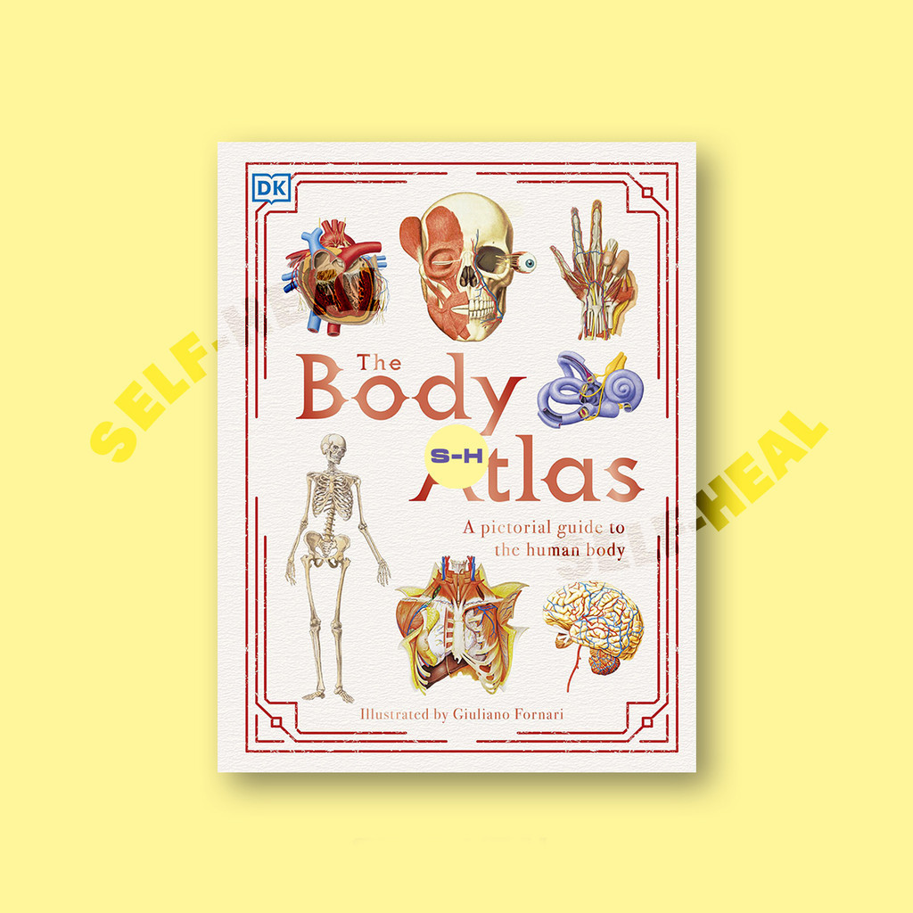 

The Body Atlas - A Pictorial Guide to the Human Body - Dorling Kindersley