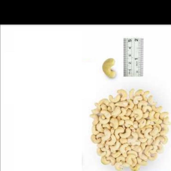 

1Kg Kacang Mede - Mete - Mentah - Raw Cashew - Jumbo - Utuh Sulawesi Myeshandira