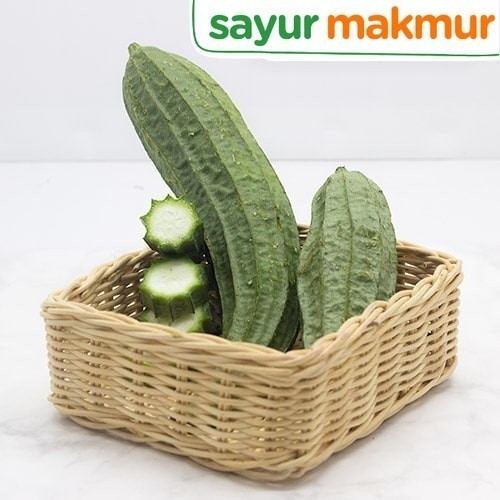 

Oyong Konvensional 500 gram Sayurmakmur