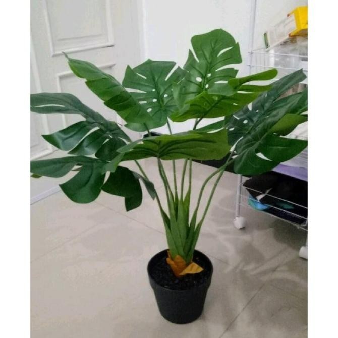 Tanaman Monstera Artificial Latex Informa Tanaman Hias Palsu Plus Pot