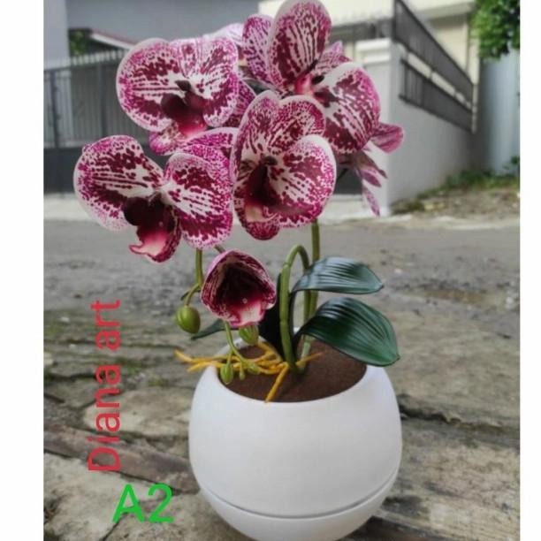 Anggrek Latex#Bunga Anggrek#Anggrek Plastik#Bunga Anggrek Hias