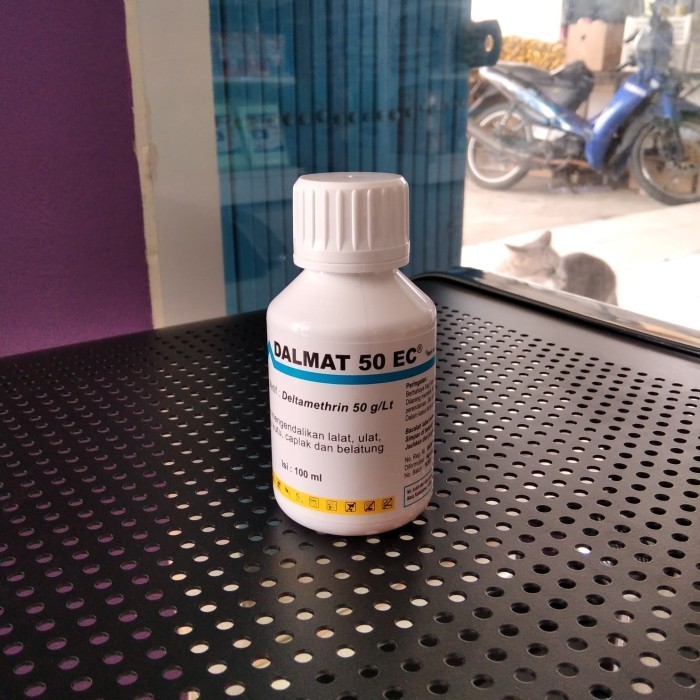 DALMAT 100ML/ OBAT KUTU DALMAT BUAT KUCING DAN ANJING