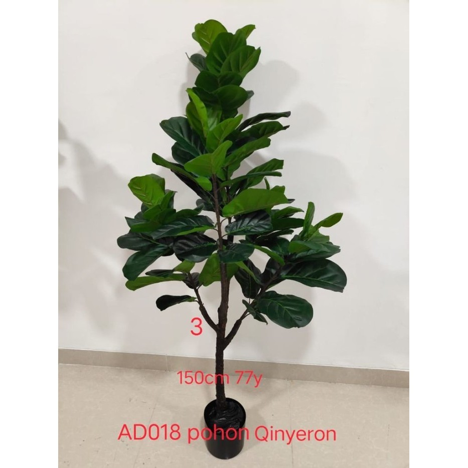 Pohon Ketapang Biola/Ketapang Artificial/Bunga Hias/Tanaman Hias/150Cm