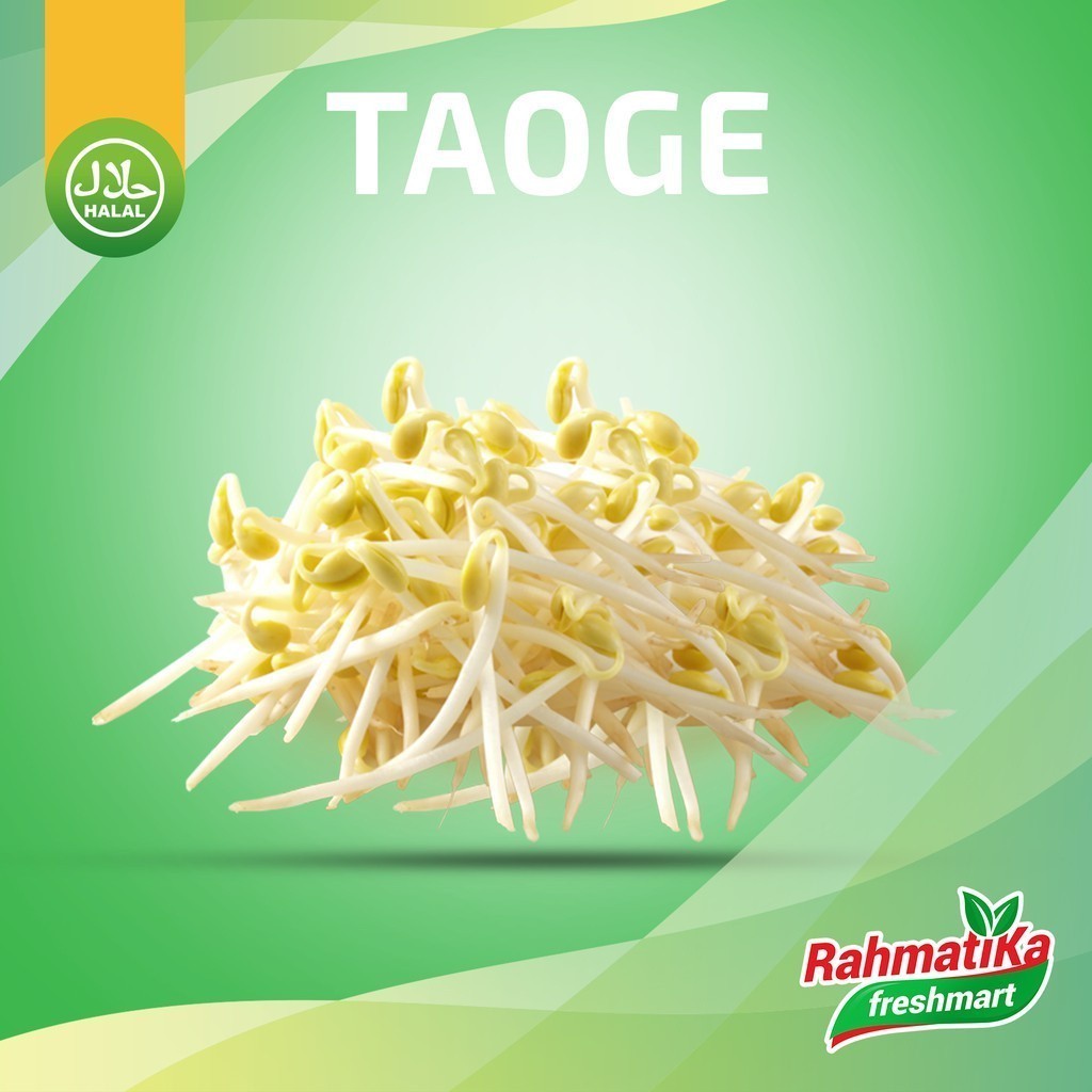 

Toge Segar / Tauge Fresh 1 Kg (Sayur Segar)