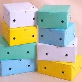 

SALE Dus Snack Kotak Kue Makanan Kecil Warna 16x12x7 ( 100 pcs ) df-7