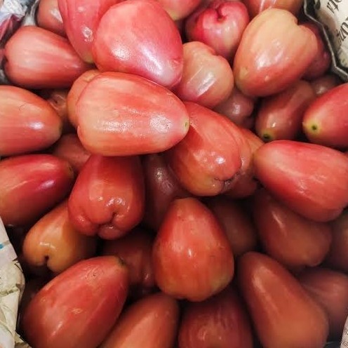 Jambu Delima 1 Kg