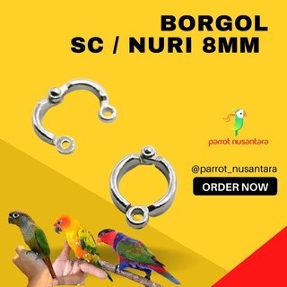 RING BORGOL KAKI BURUNG PARROT, NURI, SUNCONURE 8MM