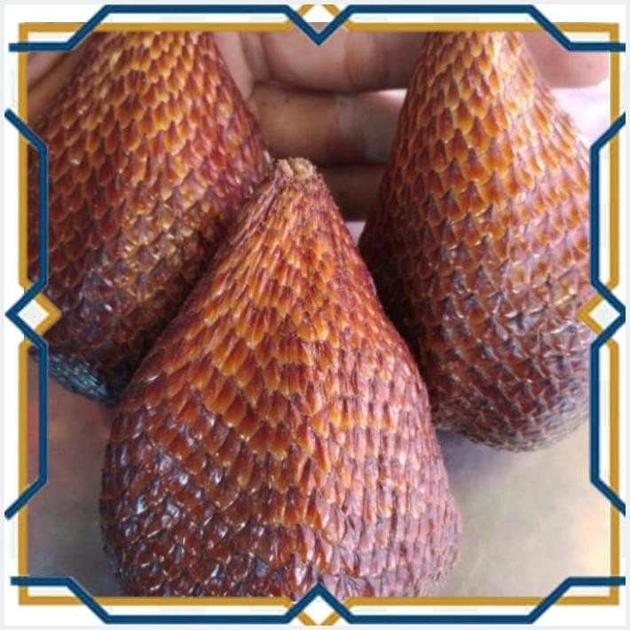 

[LDY] SALAK PONDOH 1KG