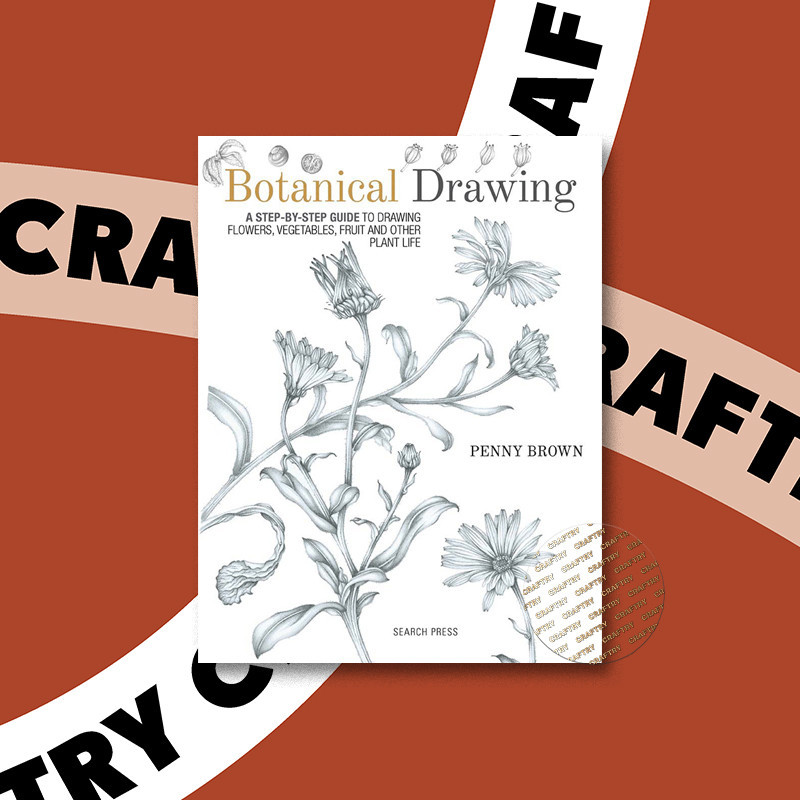 

Botanical Drawing - Penny Brown