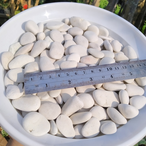 Seed Center Batu Putih Besar Dekorasi Taman (100 Gram)
