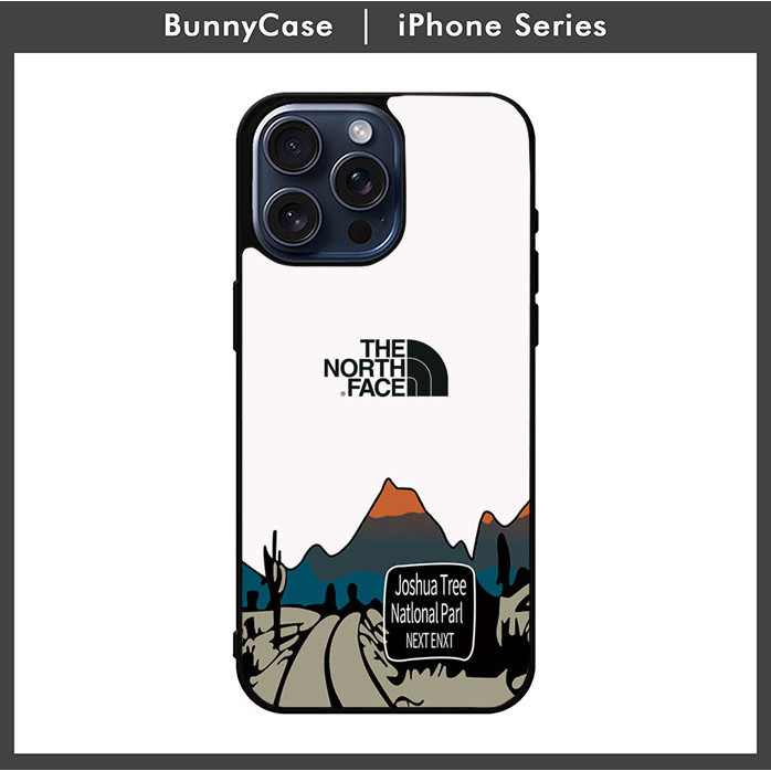 Case Casing iPhone 15 14 13 12 11 Pro Max Mini Plus iPhone X Xs Xr The North Face LZ0016