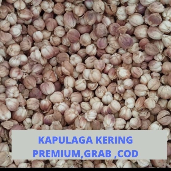 Kapulaga 1Kg