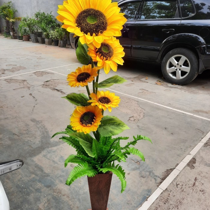 Bunga Matahari Bunga Sudut Ruangan