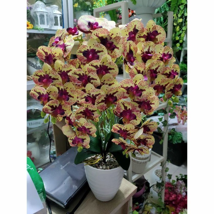 Bunga Anggrek Latex Jumbo Artificial//Bunga Anggrek Latex Besar Murah