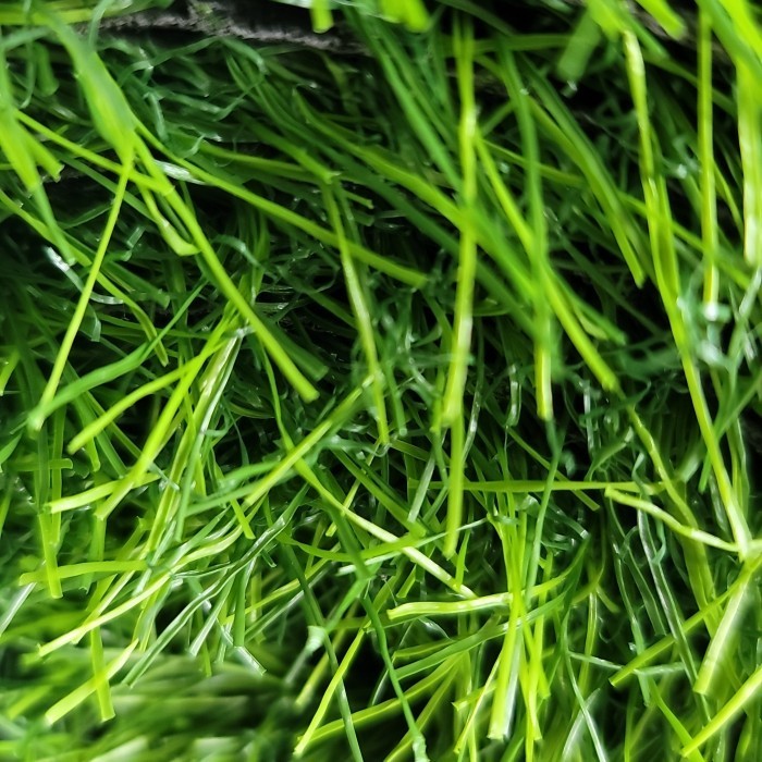 Rumput Sintetis Aquarium 50 X 100