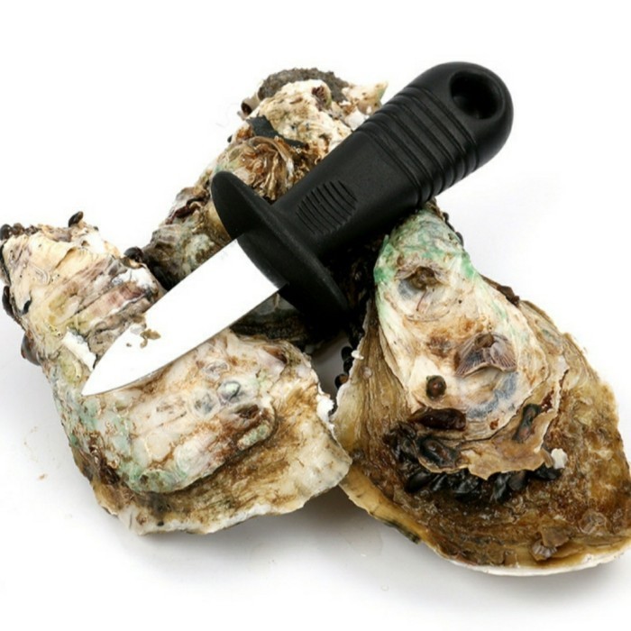 Ready Stainless Steel Oyster Opener Knife Seafood (Pisau Oyster)